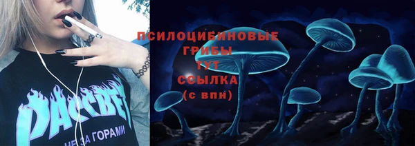 прущие крисы Осинники