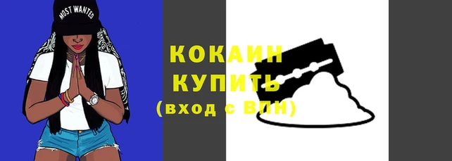 твердый Осташков