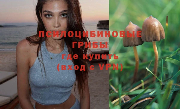 твердый Осташков