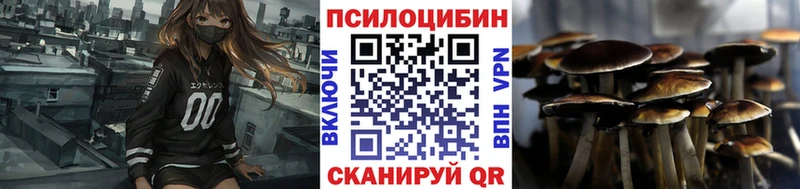 KRAKEN как зайти Черногорск Галлюциногенные грибы MAGIC MUSHROOMS