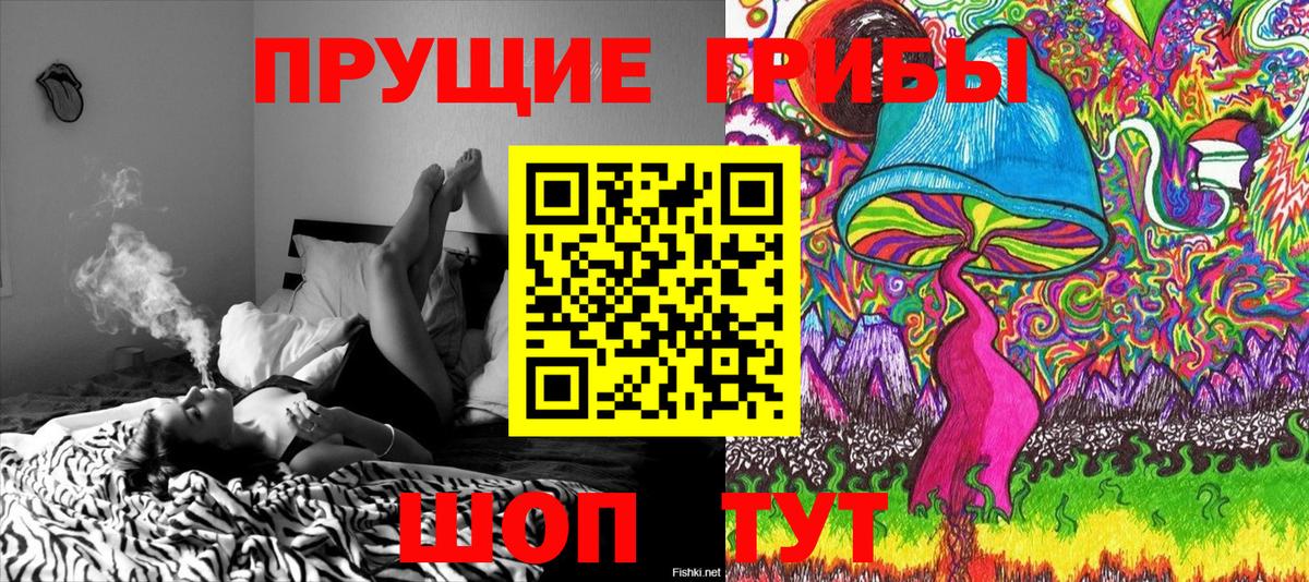 Черногорск  Псилоцибиновые грибы мицелий  Вход с VPN 