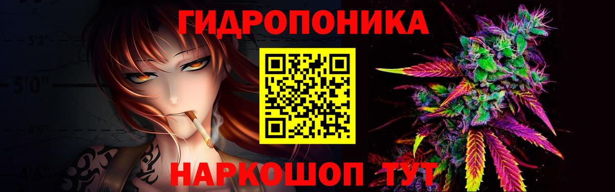 Черногорск  Шишки марихуана гибрид  Шишки марихуана THC 21%  Вход с VPN  Шишки марихуана OG Kush 
